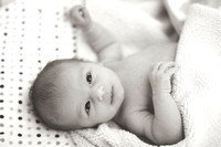 Newborn Baby Harper : Rothert